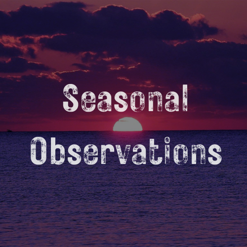 Seasonal Observations: The Hilarious, Heartfelt Chaos of the Winter-to-Spring Switch
